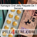 Kamagra Oral Jelly 1 Week Pack 41